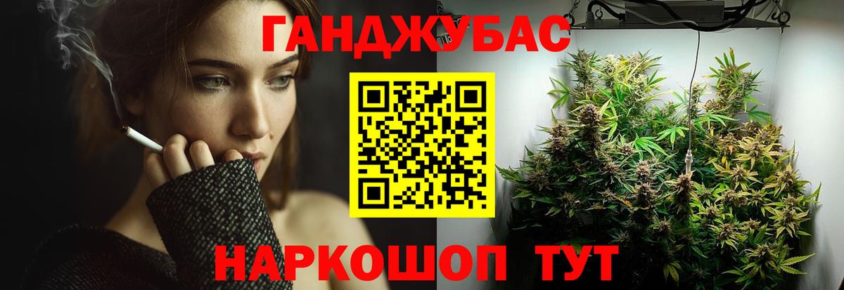 Конопля сатива Куйбышев